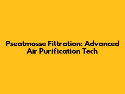 Pseatmosse Filtration: Advanced Air Purification Tech